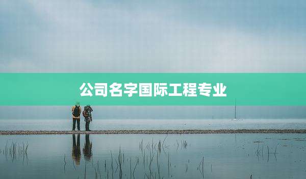 公司名字国际工程专业