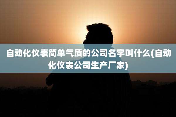 自动化仪表简单气质的公司名字叫什么(自动化仪表公司生产厂家)