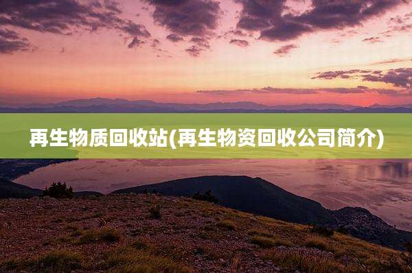 再生物质回收站(再生物资回收公司简介)