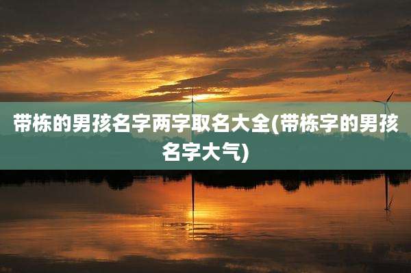 带栋的男孩名字两字取名大全(带栋字的男孩名字大气)