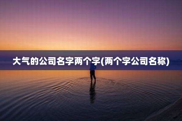 大气的公司名字两个字(两个字公司名称)