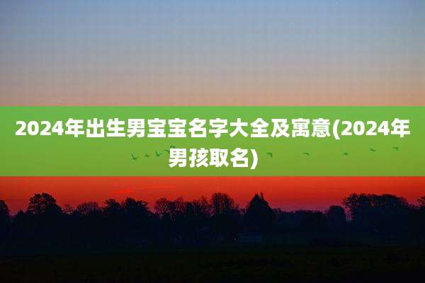 2024年出生男宝宝名字大全及寓意(2024年男孩取名)