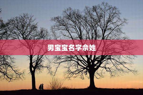 男宝宝名字佘姓