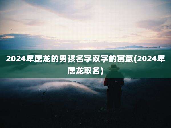 2024年属龙的男孩名字双字的寓意(2024年属龙取名)