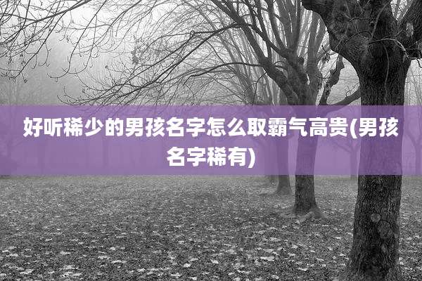 好听稀少的男孩名字怎么取霸气高贵(男孩名字稀有)