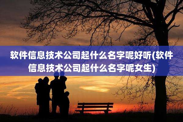 软件信息技术公司起什么名字呢好听(软件信息技术公司起什么名字呢女生)