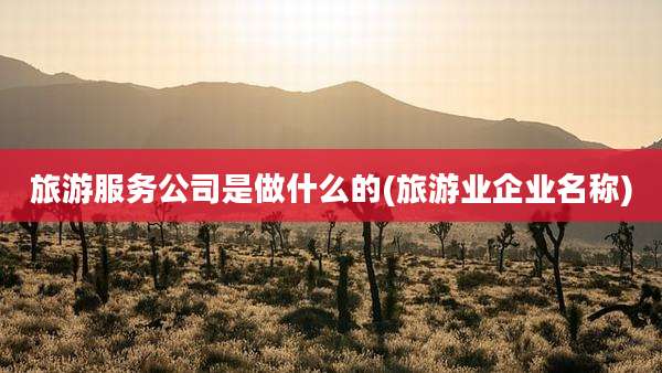 旅游服务公司是做什么的(旅游业企业名称)