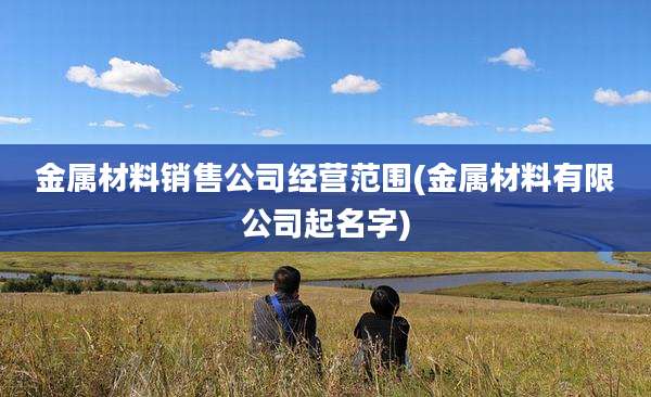金属材料销售公司经营范围(金属材料有限公司起名字)