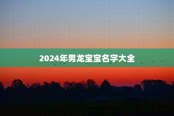 2024年男龙宝宝名字大全