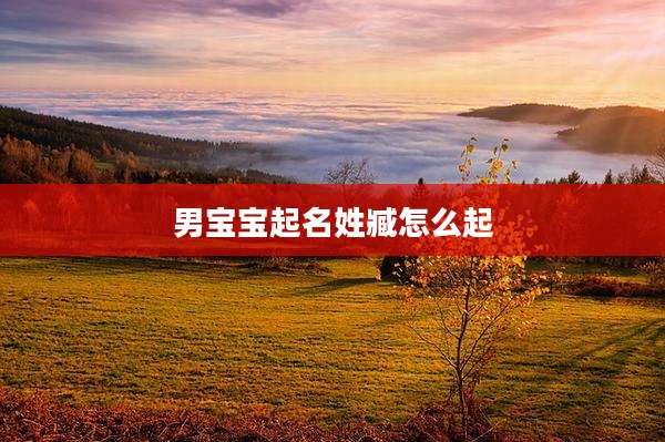 男宝宝起名姓臧怎么起