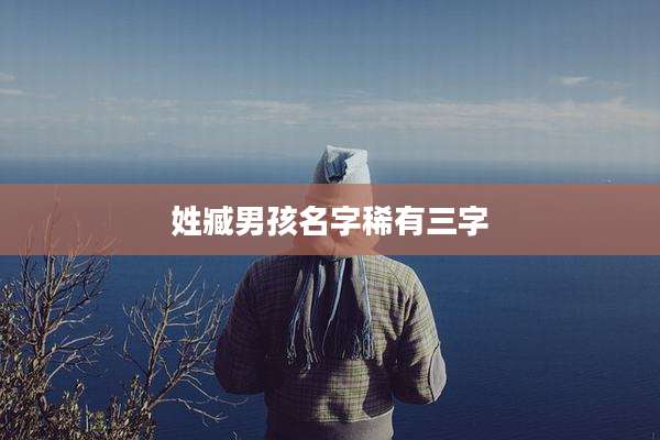 姓臧男孩名字稀有三字