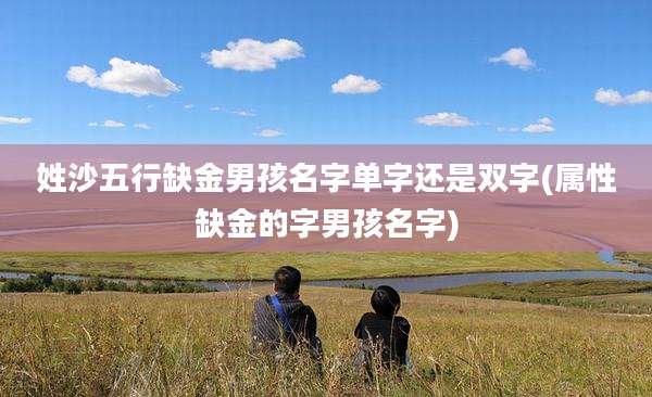姓沙五行缺金男孩名字单字还是双字(属性缺金的字男孩名字)