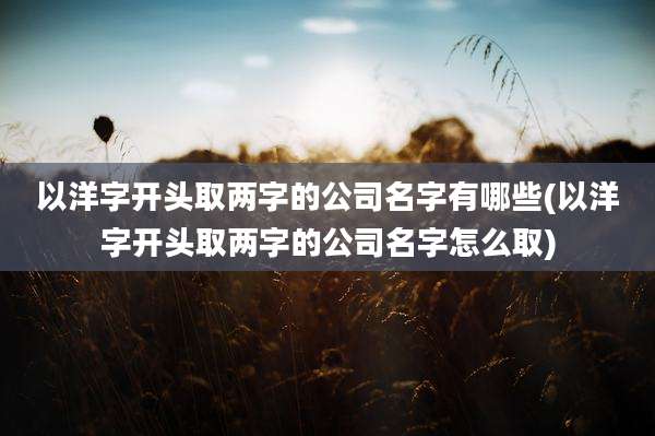 以洋字开头取两字的公司名字有哪些(以洋字开头取两字的公司名字怎么取)
