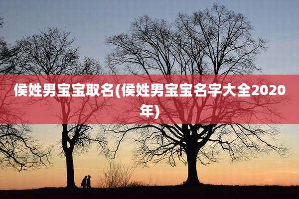 侯姓男宝宝取名(侯姓男宝宝名字大全2020年)
