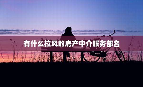 有什么拉风的房产中介服务部名