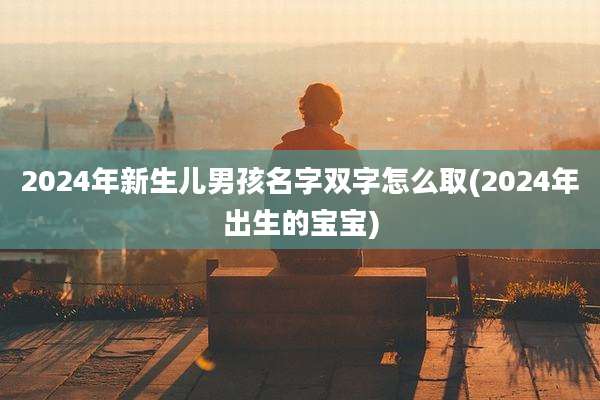 2024年新生儿男孩名字双字怎么取(2024年出生的宝宝)