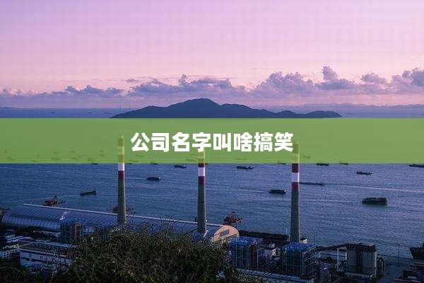 公司名字叫啥搞笑