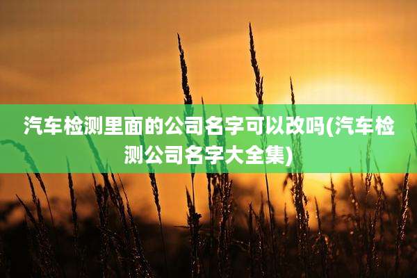 汽车检测里面的公司名字可以改吗(汽车检测公司名字大全集)