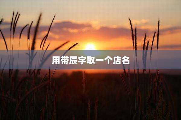 用带辰字取一个店名