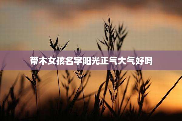带木女孩名字阳光正气大气好吗