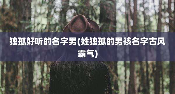 独孤好听的名字男(姓独孤的男孩名字古风霸气)