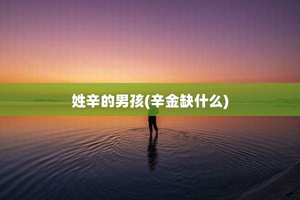 姓辛的男孩(辛金缺什么)