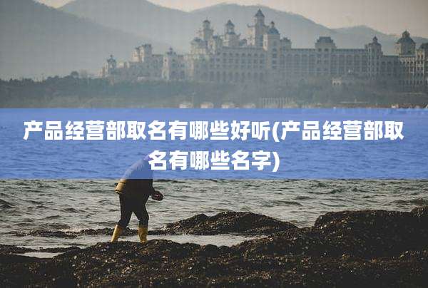 产品经营部取名有哪些好听(产品经营部取名有哪些名字)