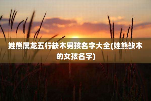 姓熊属龙五行缺木男孩名字大全(姓熊缺木的女孩名字)