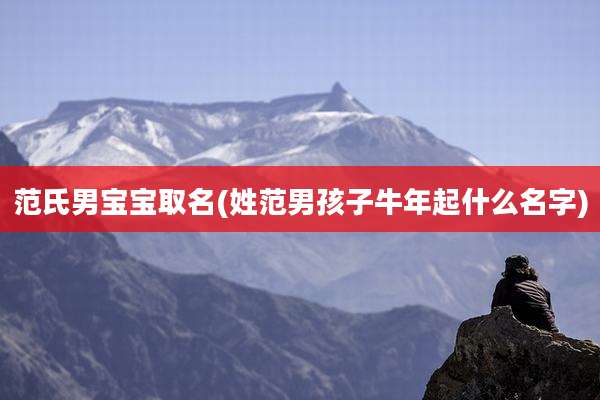 范氏男宝宝取名(姓范男孩子牛年起什么名字)