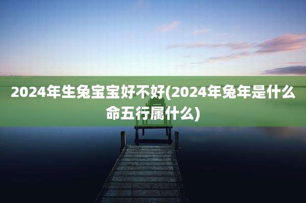 2024年生兔宝宝好不好(2024年兔年是什么命五行属什么)