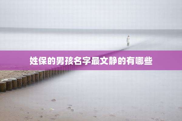 姓保的男孩名字最文静的有哪些