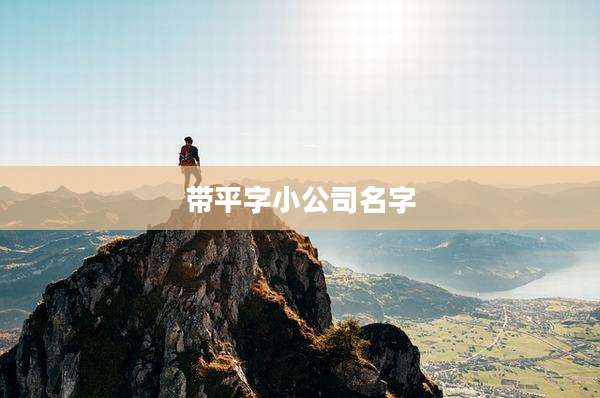 带平字小公司名字