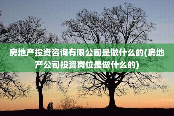房地产投资咨询有限公司是做什么的(房地产公司投资岗位是做什么的)