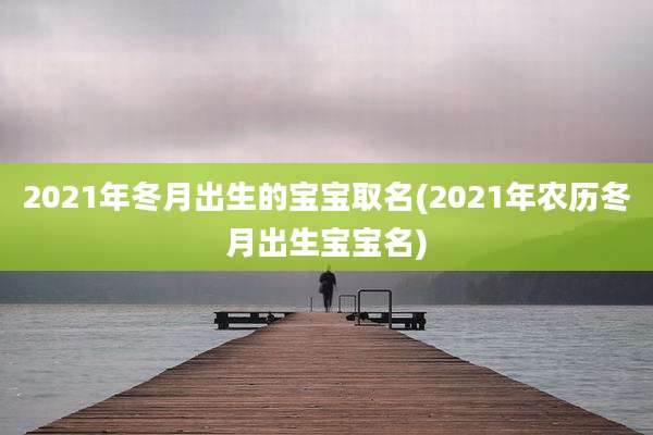 2021年冬月出生的宝宝取名(2021年农历冬月出生宝宝名)