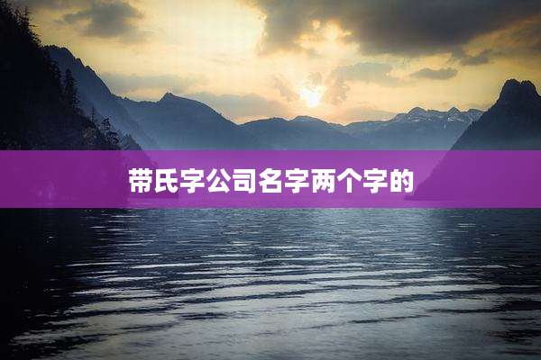 带氏字公司名字两个字的