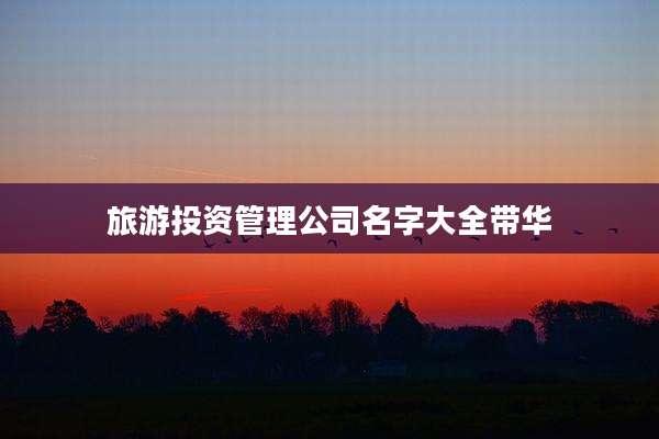 旅游投资管理公司名字大全带华