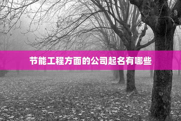 节能工程方面的公司起名有哪些