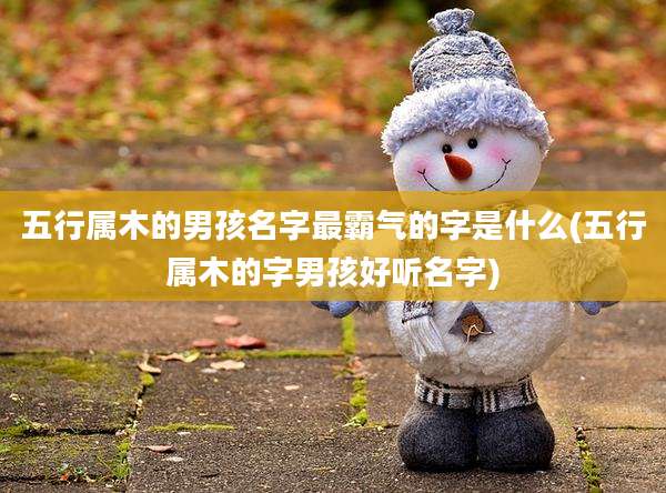 五行属木的男孩名字最霸气的字是什么(五行属木的字男孩好听名字)