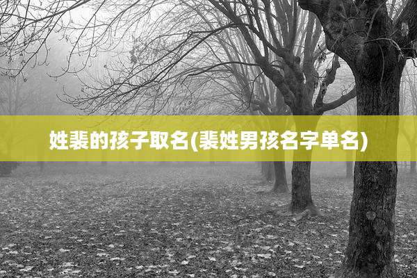 姓裴的孩子取名(裴姓男孩名字单名)