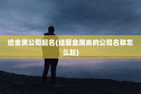 给金属公司起名(经营金属类的公司名称怎么起)