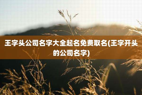 王字头公司名字大全起名免费取名(王字开头的公司名字)