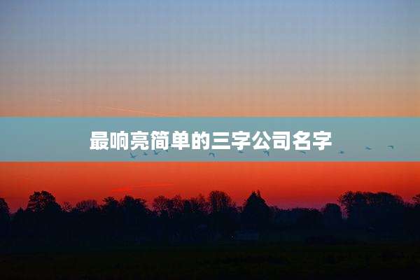 最响亮简单的三字公司名字