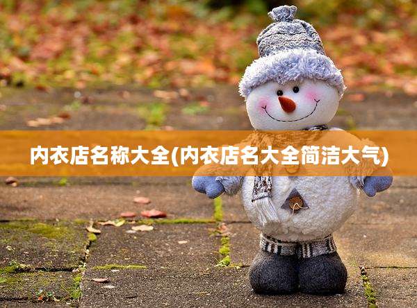 内衣店名称大全(内衣店名大全简洁大气)