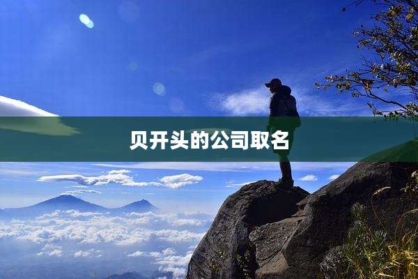 贝开头的公司取名