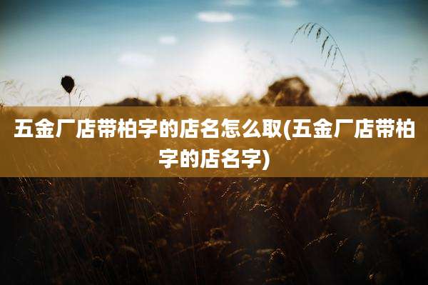 五金厂店带柏字的店名怎么取(五金厂店带柏字的店名字)