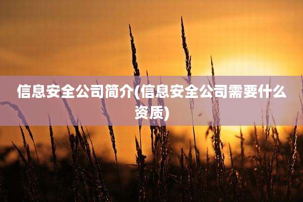 信息安全公司简介(信息安全公司需要什么资质)