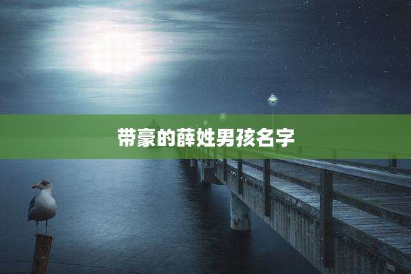 带豪的薛姓男孩名字