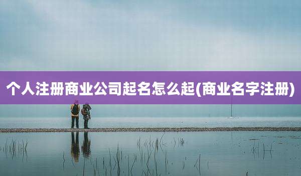 个人注册商业公司起名怎么起(商业名字注册)