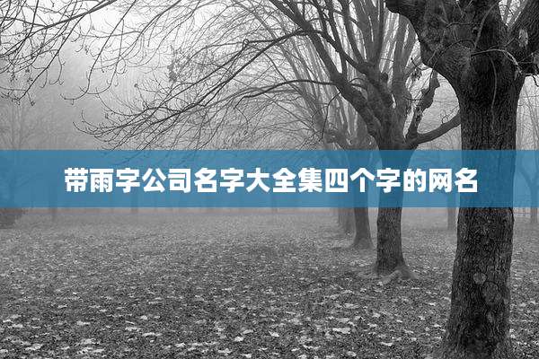 带雨字公司名字大全集四个字的网名