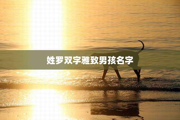 姓罗双字雅致男孩名字